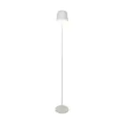 Eglo Floor Lamp Mannera-L Aluminium Grey 4W 440lm - 824-830-840 CCT | IP54 - 3-Step Dimmable